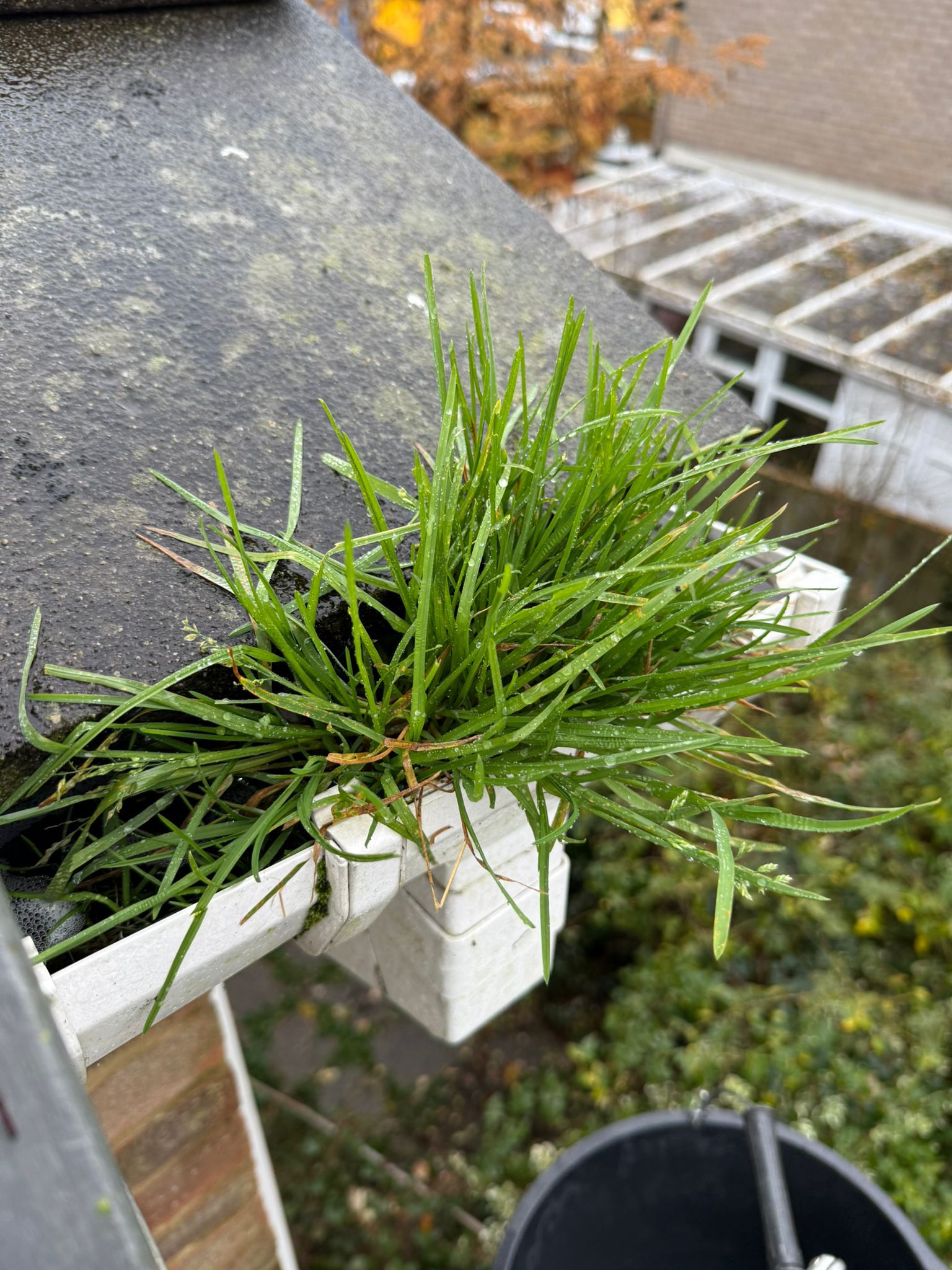 Blocked gutter downpipe in Arlesey